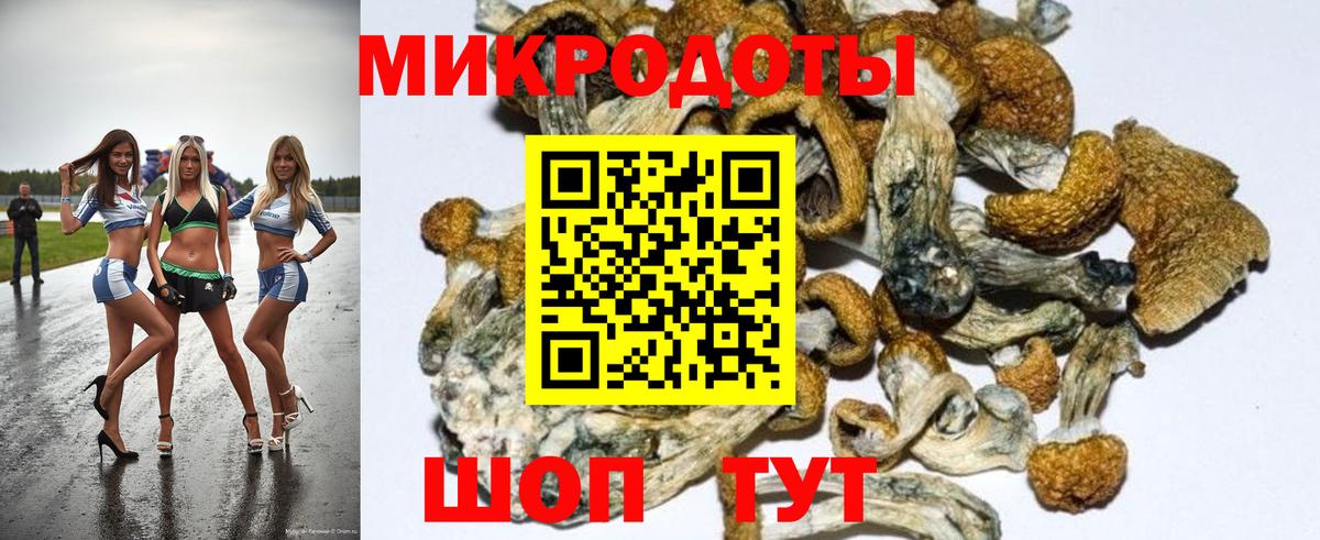 Галлюциногенные грибы прущие грибы Тамбов